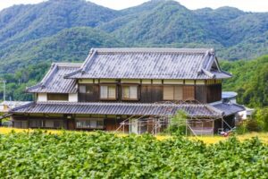 A glimpse of the timeless beauty and charm of traditional Japanese architecture