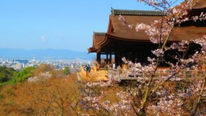 We would like to introduce you to the enchanting Kyoto, an elegant stage where a thousand years of history plays out.